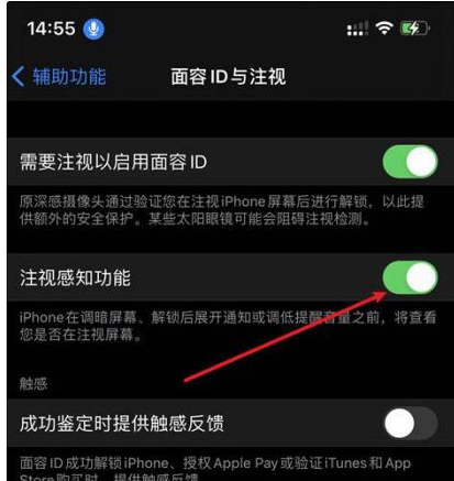 龙滚镇苹果14维修网点分享iPhone14注视感知功能有什么用 